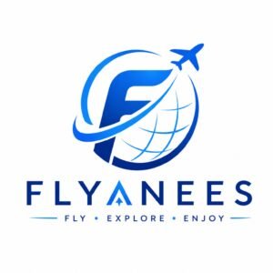 فلاي أنيس FlyAnees — الشعار الأزرق